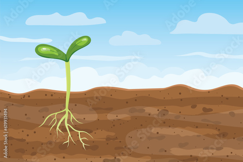 young plant growing from the soil with cross section of roots; spring, new life concept - vector illustration