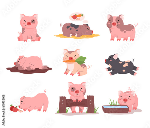 Set of cute funny pigs in various poses flat style, vector illustration