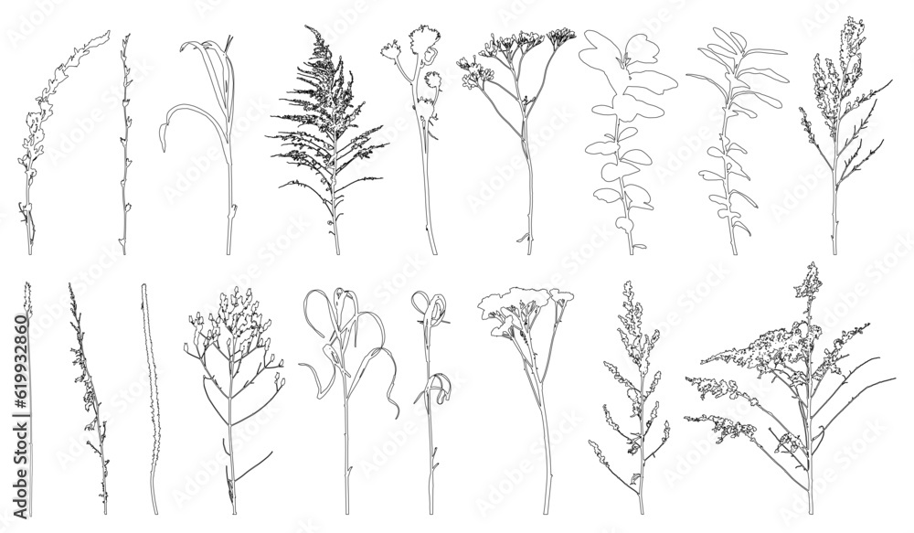 Vetor de Set of weeds, wild plants in field and forest for architecture