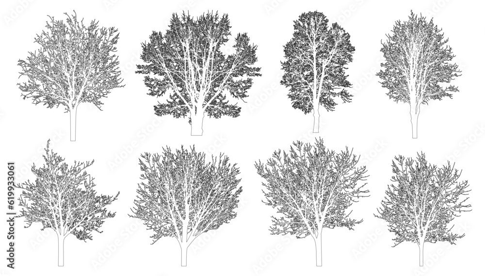 Bare trees contour, set. Beautiful leafless trees. Vector illustration Bare trees contour, set. Beautiful leafless trees. Vector illustration