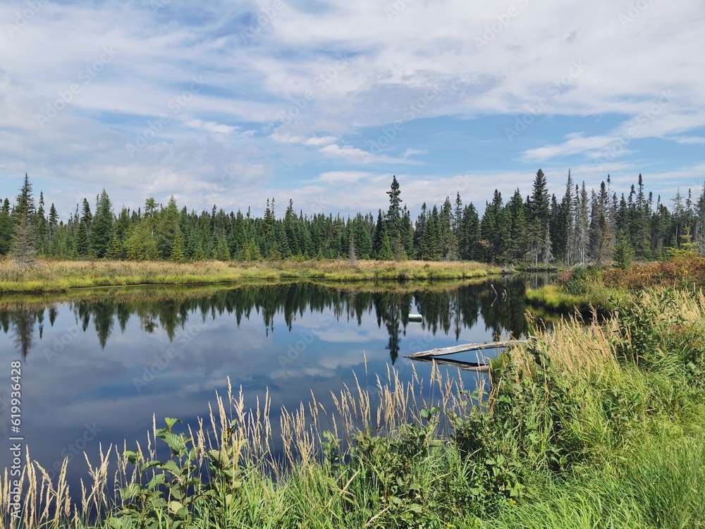 lake in the forest lake in the forest