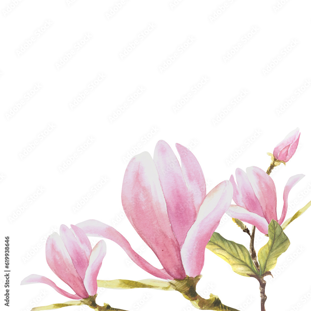 Floral frame watercolor magnolias flowers buds and leaves Hand painted Illustration