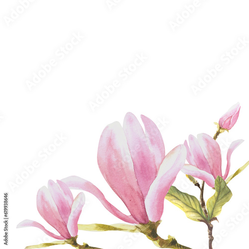 Floral frame watercolor magnolias flowers buds and leaves Hand painted Illustration