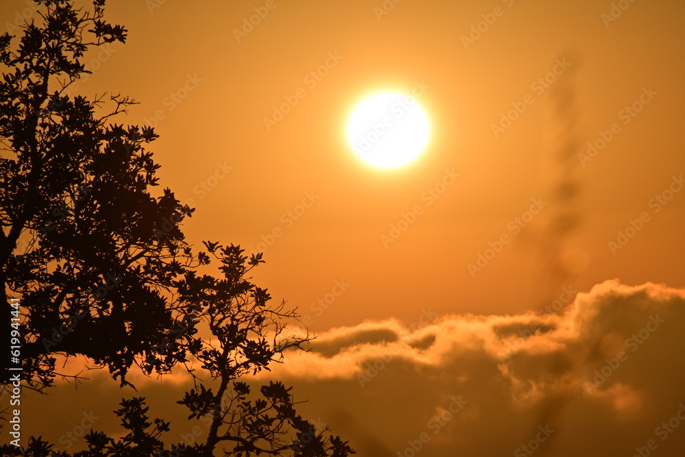 Fototapeta premium sunset in the mountains