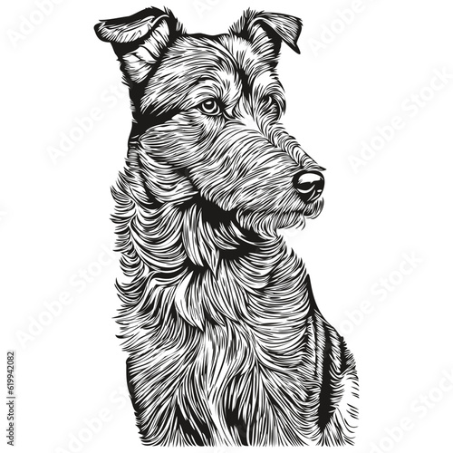 Airedale Terrier dog line illustration, black and white ink sketch face portrait in vector sketch drawing