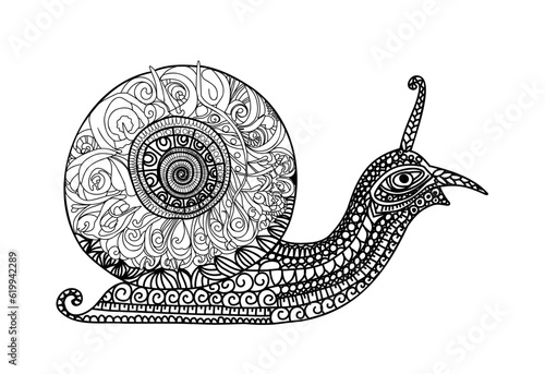Mollusk snail in zentangle style.Simple line illustration for coloring book Snail with shell.Coloring page.