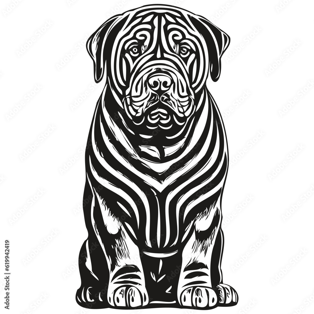 Chinese Shar Pei dog vector face drawing portrait, sketch vintage style transparent background