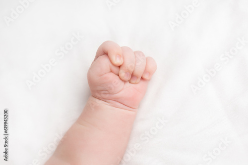hands of a newborn baby. little hands