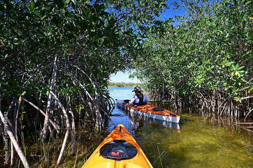 Принти на полотні Woman kayaking through mangrove arch on Nine Mile Pond in Everglades National Park, Florida on cloudless sunny autumn afternoon