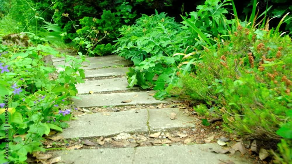 A path in the forest, a cozy and quiet road in the botanical garden. A path in the forest, a cozy and quiet road in the botanical garden.