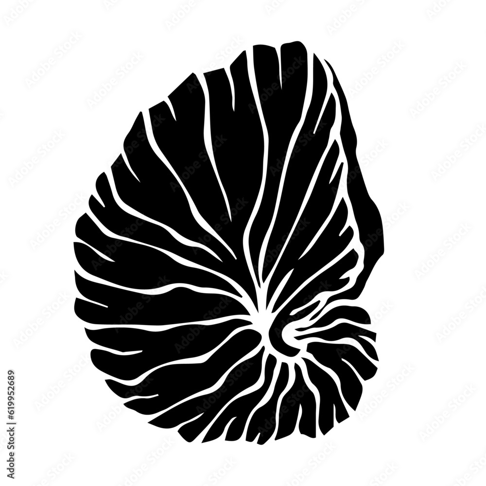 Decorative silhouette of a seashell.Vector graphics. Decorative silhouette of a seashell.Vector graphics.