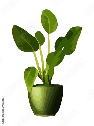 Realistic house plat with monstera sansevieria banana palm ficus and rhopalostylis in pot on transparent background.