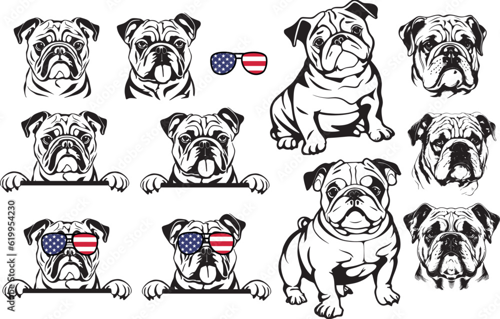 Obraz premium Cool American bulldog with sunglasses, portrait 