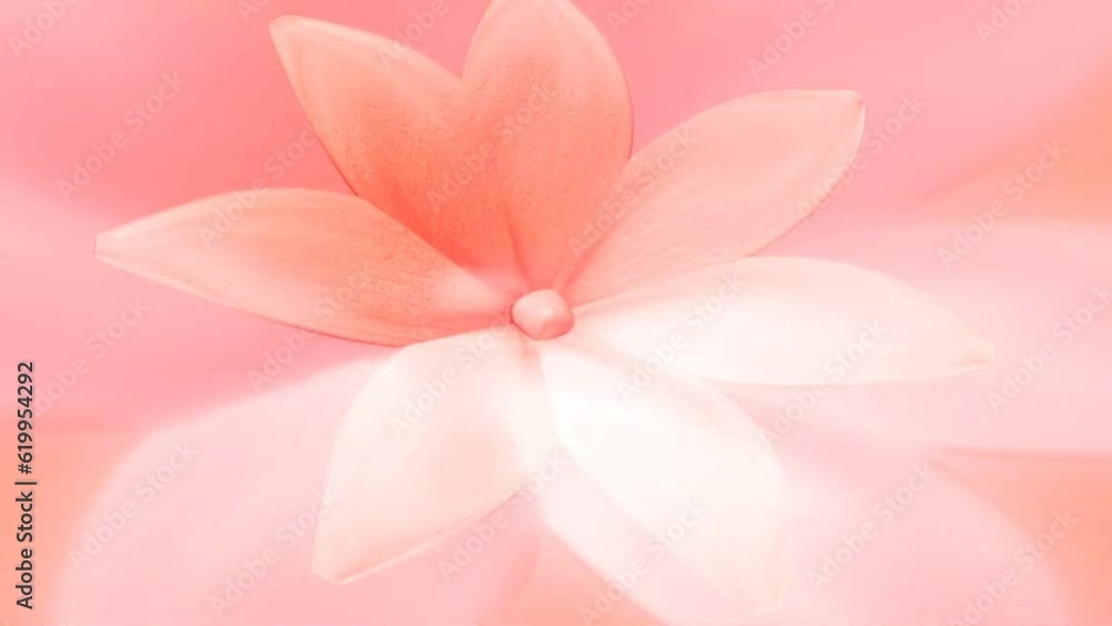 HD Motion Background HD Motion Background