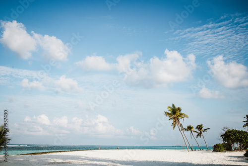 Fototapeta Naklejka Na Ścianę i Meble -  amazing tropical island with palm trees