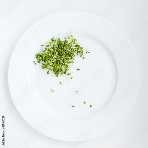 Fresh micro greens, arugula seedlings on a white plate. Top view. Copy space.