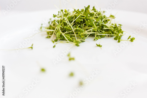 Micro greens arugula  on white plate. Closeup. 
