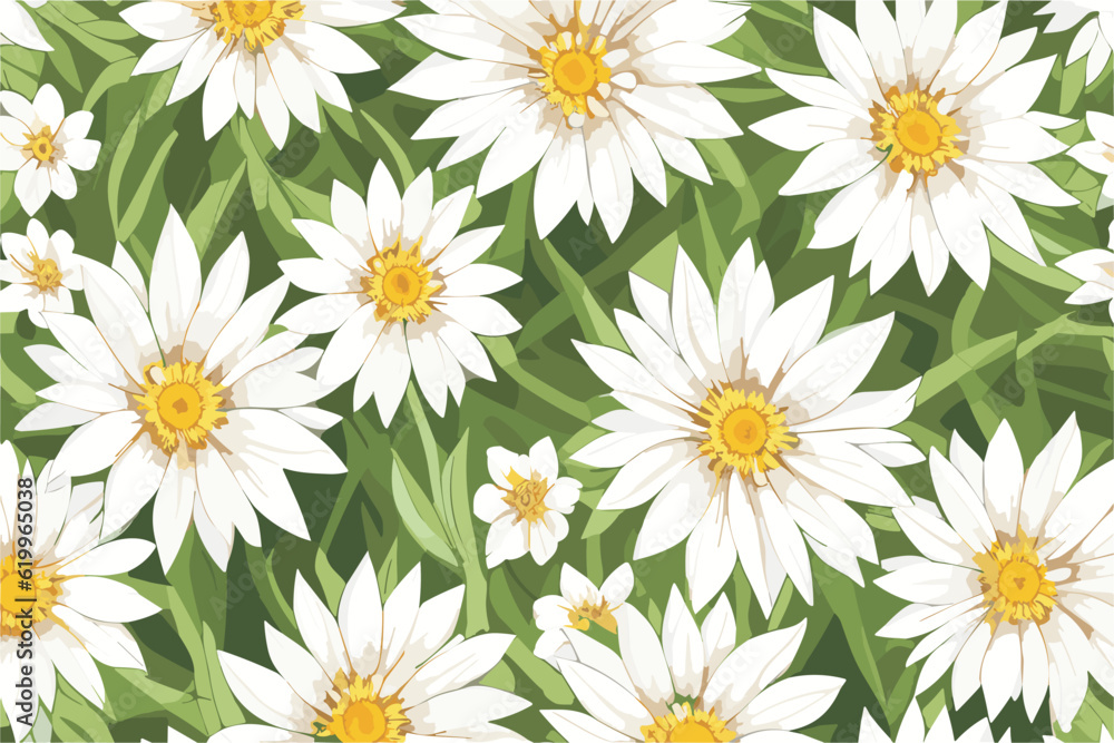 Fototapeta premium Vector floral pattern with white flowers chamomile (small and large) on a background of green grass.