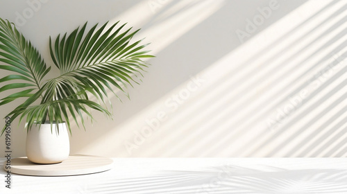 Beautiful foliage of tropical plant tree in sunlight, leaf shadow on table counter and white wall with space in background for product display backdrop. Generative AI. © CompotaCriativa