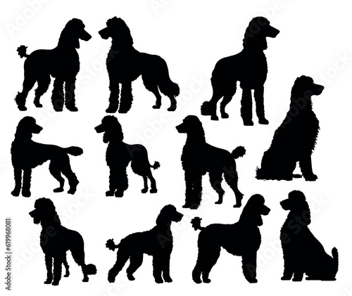 Set of silhouettes of black dogs,poodle,breed,logo