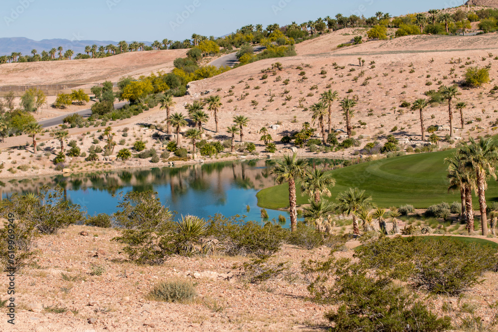 Beautiful high-end custom swimming pool overlooking a golf course with an infinity edge pool feature. Beautiful high-end custom swimming pool overlooking a golf course with an infinity edge pool feature.