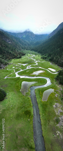 Beautiful forest wetland landscape in Sichuan,China photo