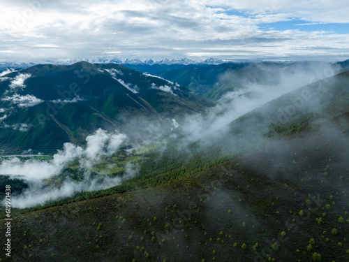 Beautiful view of sunrise forest landscape in Sichuan,China