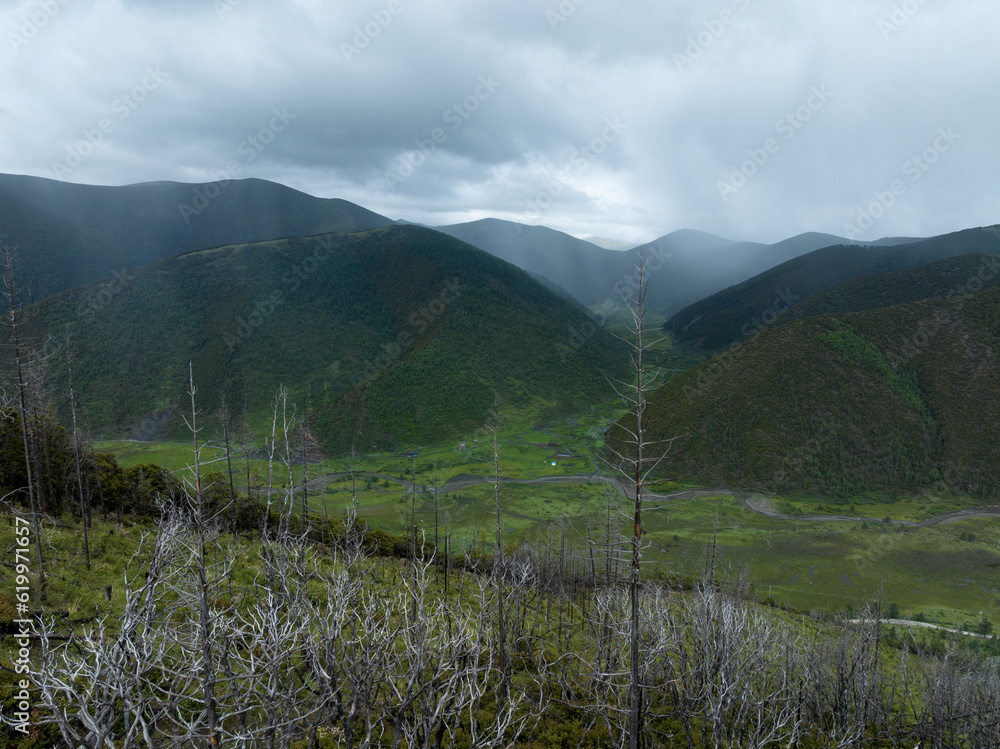 Beautiful sunrise forest landscape in Sichuan,China Beautiful sunrise forest landscape in Sichuan,China