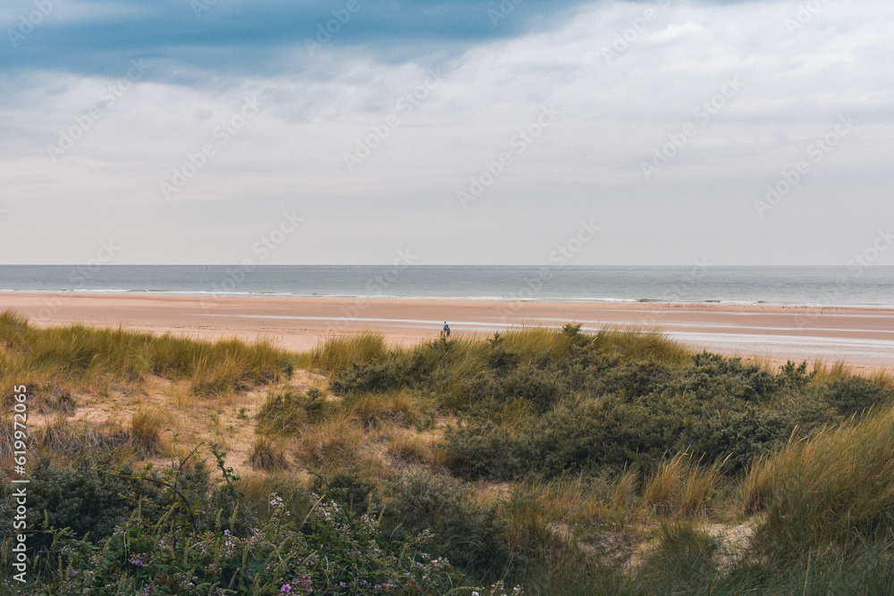 beach and dunes