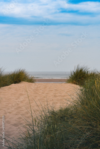 sand dunes and grass on the beach