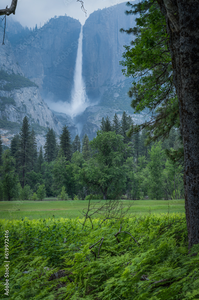 Rainy June in the Sierra Mountains
