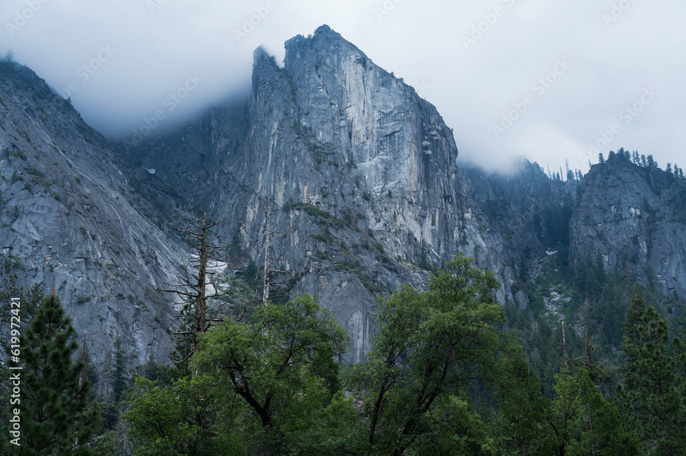 Rainy June in the Sierra Mountains