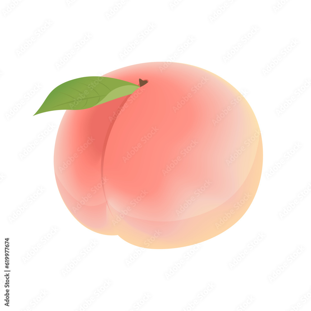 桃のベクターイラスト Stock ベクター | Adobe Stock