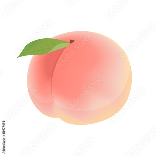 桃のベクターイラスト