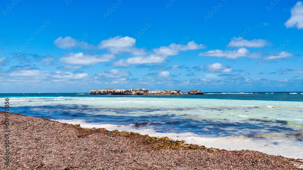 Edwards Island is an island in Lancelin. The island is 0.454 hectares with a elevation of 5 metres and is situated 100 metres off the coast. Edwards Island is an island in Lancelin. The island is 0.454 hectares with a elevation of 5 metres and is situated 100 metres off the coast.