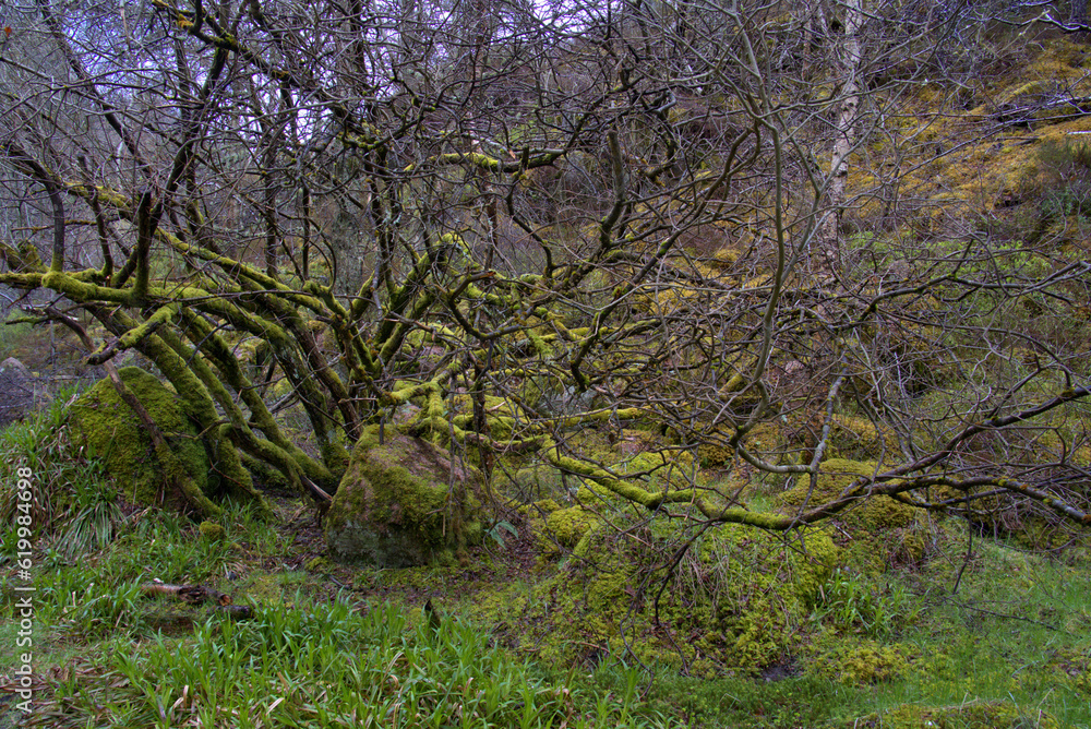 Burn O' Vat Park in Abohne, Scotland Burn O' Vat Park in Abohne, Scotland