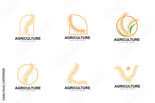 Rice Logo, Farm Wheat Logo Design, Vector Wheat Rice Icon Template Illustration