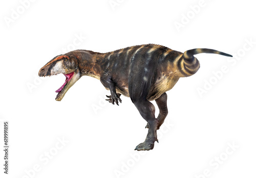 dinosaur , Carcharadontosaurus isolated background