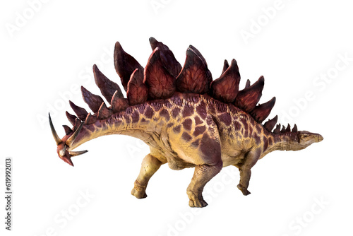 dinosaur , stegosaurus  isolated background © meen_na