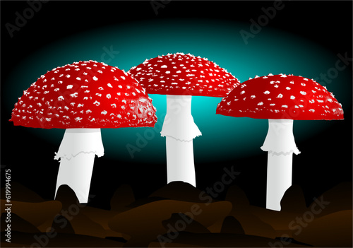 hongos, fongus, Mushrooms, Fungus