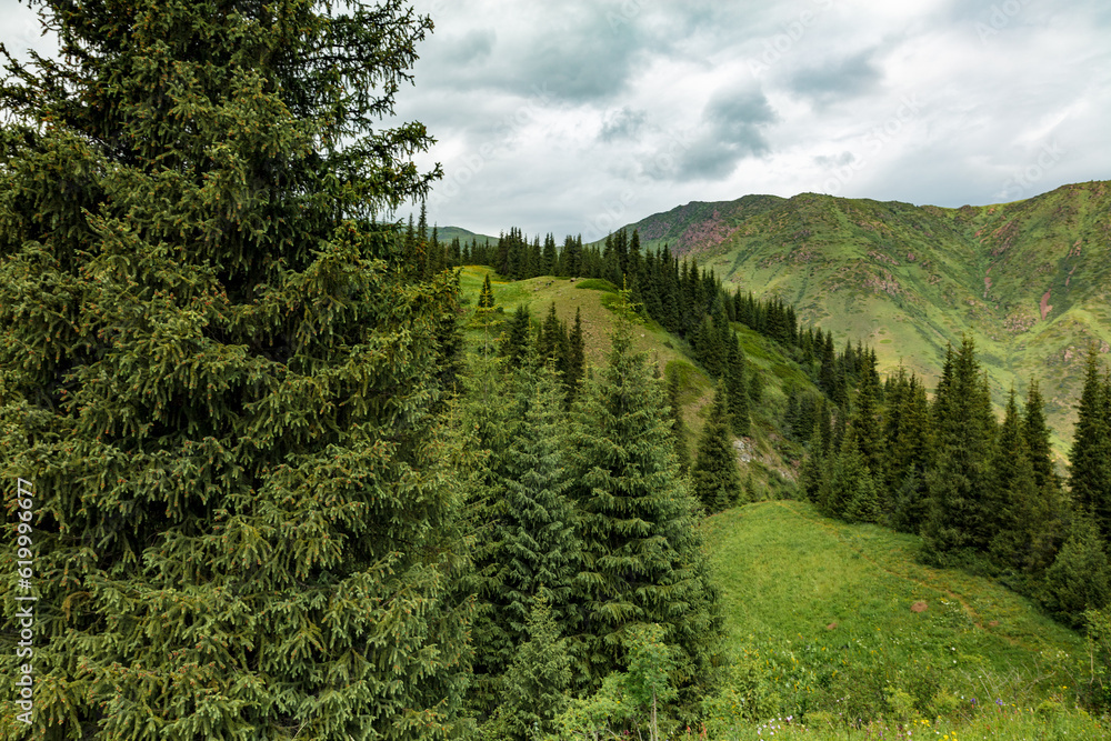 landscape with trees