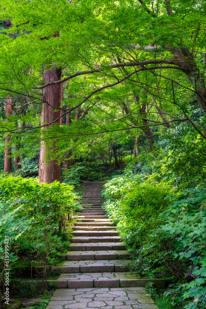 Fresh greenery along the stone steps leading to the main hall of Zuisenji Temple in Kamakura, Kanagawa.