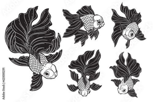 Set Bundle Hand Drawn Gold Fish Aquatic Black White Vintage Dark Art for Tattoo and Clothing illustration