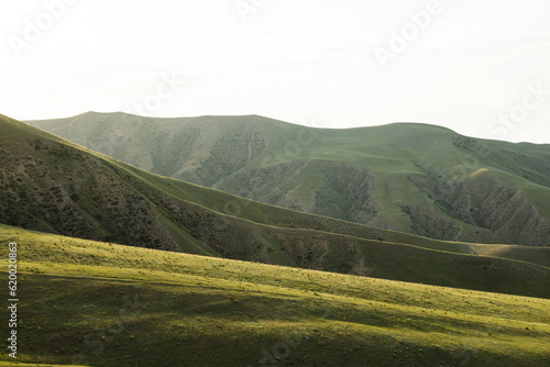 landscape with green hills © Oblomov