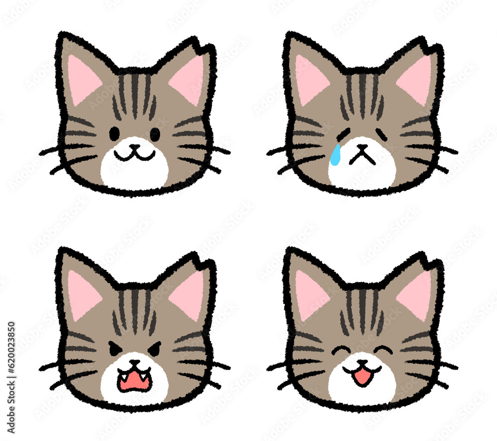 耳カットされた雌のキジトラ猫の表情セット 耳カットされた雌のキジトラ猫の表情セット