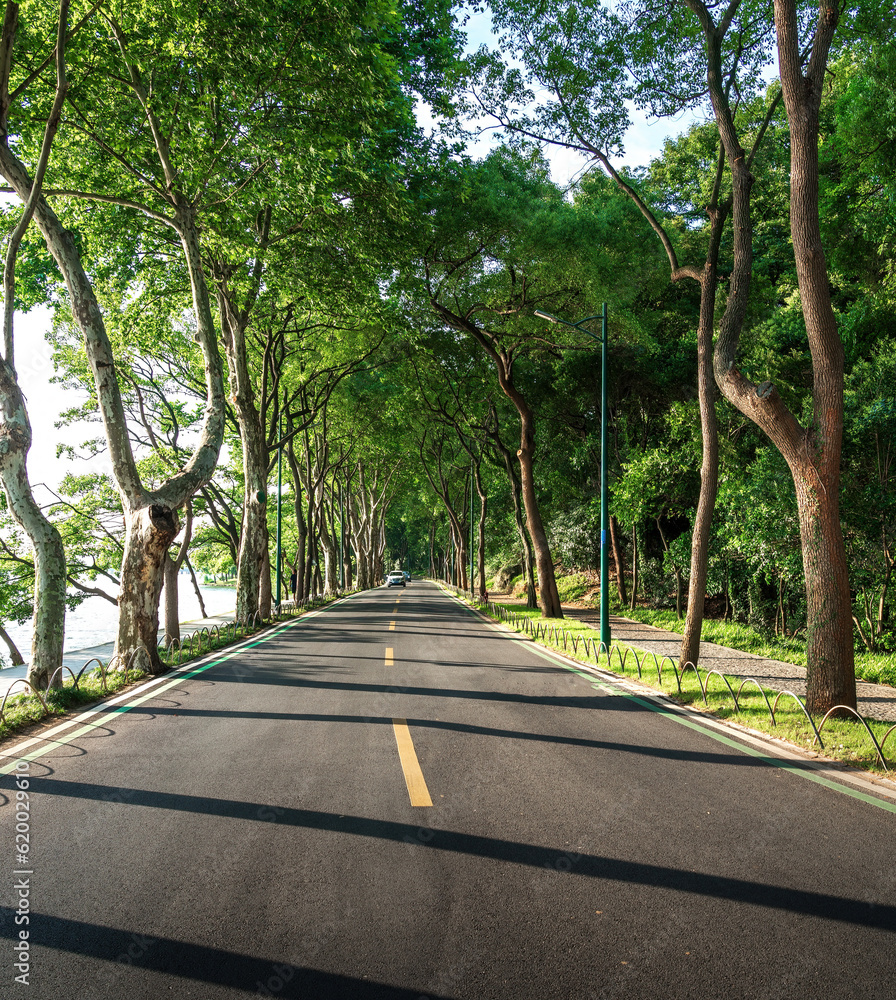 Summer Country Road With Trees Beside Concept Summer Country Road With Trees Beside Concept