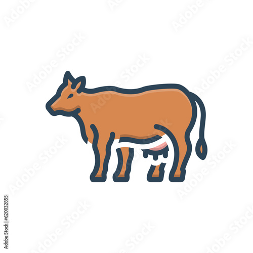 Color illustration icon for cow