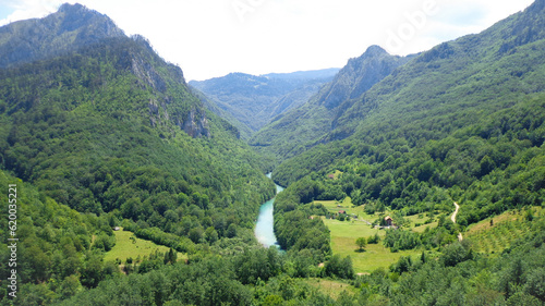 Ot Tara river. Montenegro