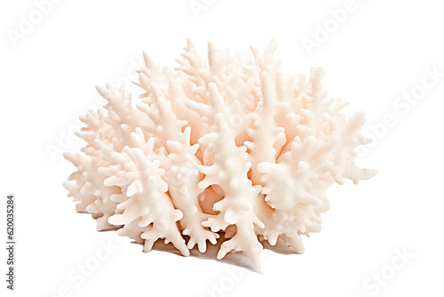 Mountainous Star Coral  on transparent background (PNG). Generative AI.