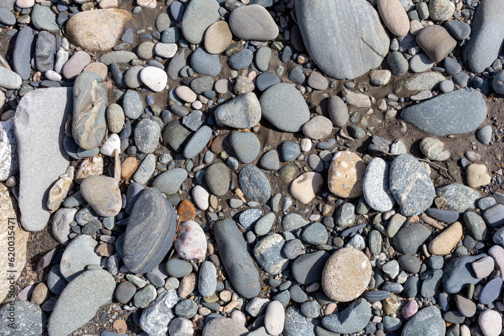 the rocky bottom of the river on the shallows during low water, warmed by the sun's rays - small pebbles. the rocky bottom of the river on the shallows during low water, warmed by the sun's rays - small pebbles.